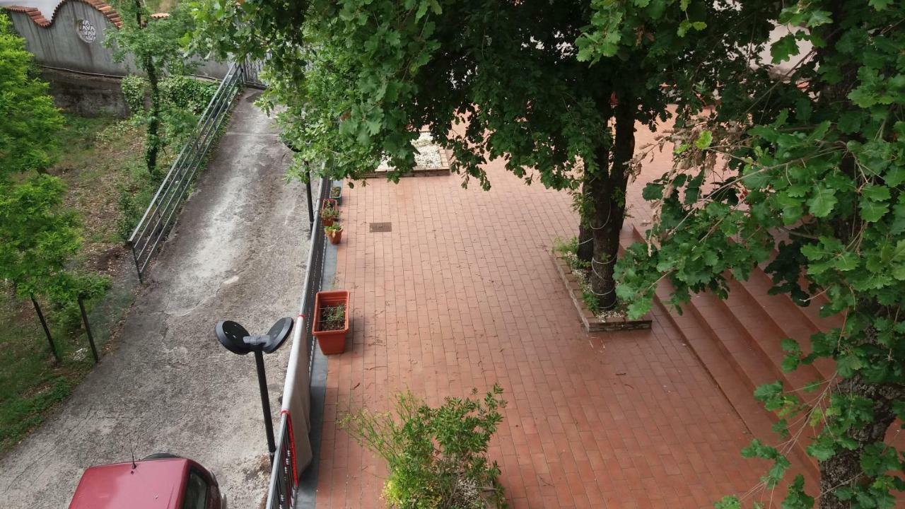 B&B Le Tre Rose Di Maria Pedara Exterior photo